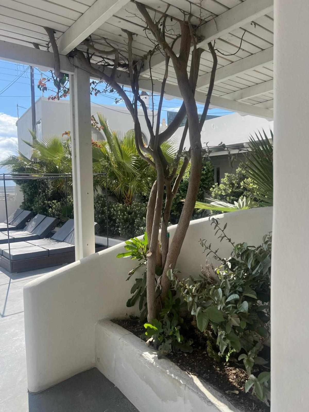 Ambience Suites Fira  Exterior photo